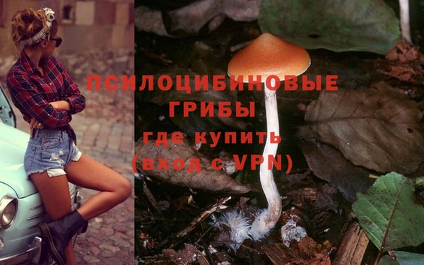 гидропоника Абдулино