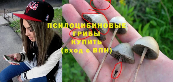 гидра Абинск