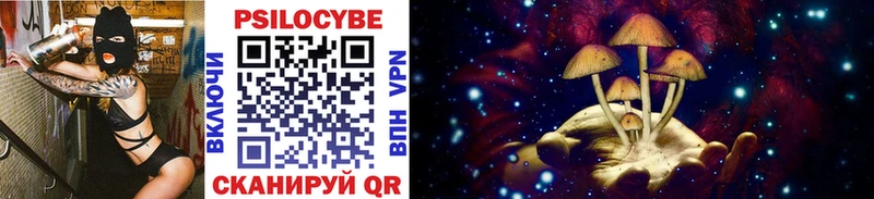 МЕГА вход  Усть-Катав  Псилоцибиновые грибы Cubensis  даркнет сайт 