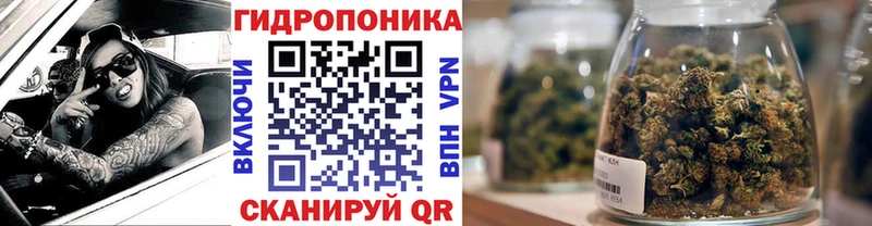 где продают наркотики  Усть-Катав  MEGA зеркало  Шишки марихуана план 